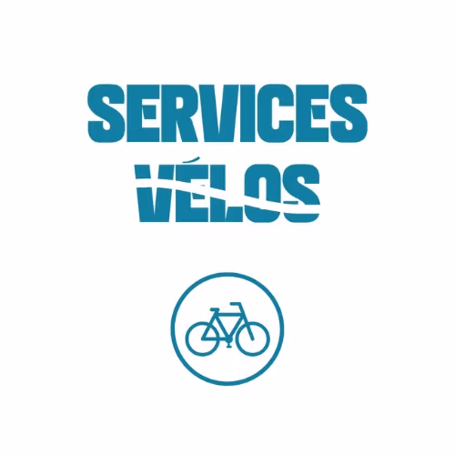 Services-Velos.avif